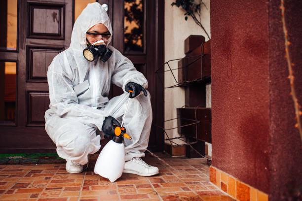 Reliable Wasp Removal contractor in Islip Terrace, NY by Show Me Pest Control